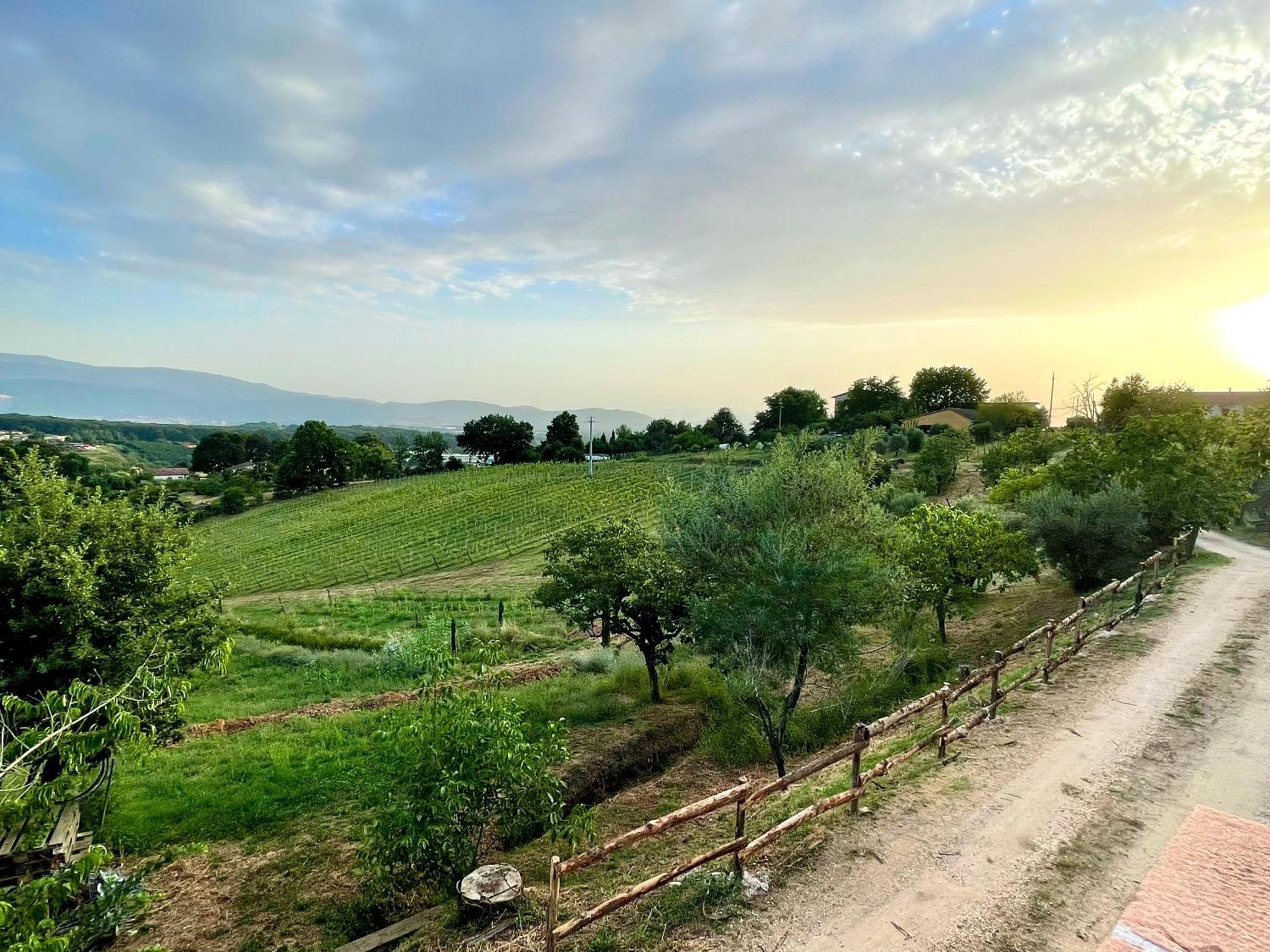 Aparthotel Donna Vittori - Borgo Agricolo Paliano Zewnętrze zdjęcie