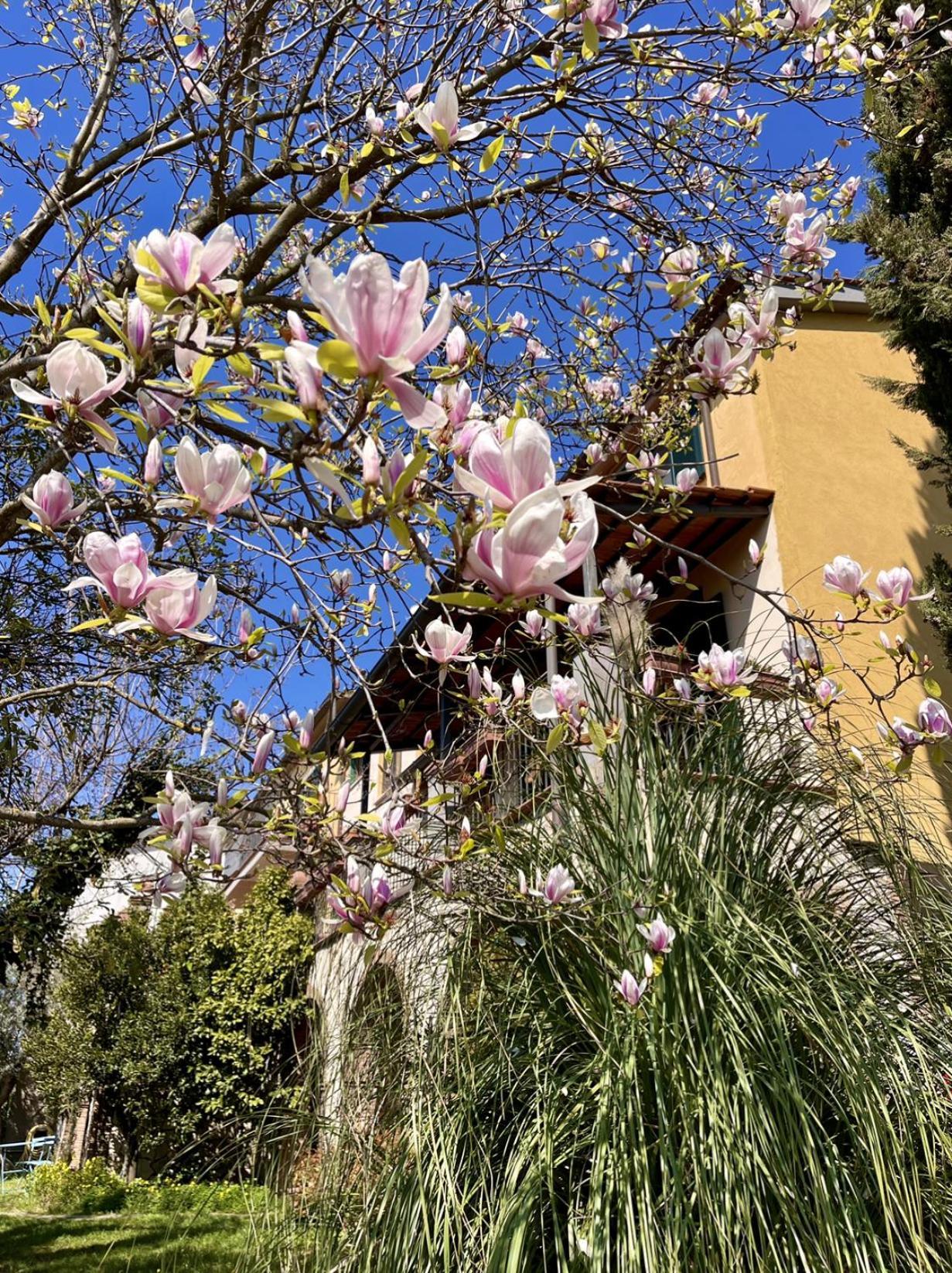 Aparthotel Donna Vittori - Borgo Agricolo Paliano Zewnętrze zdjęcie